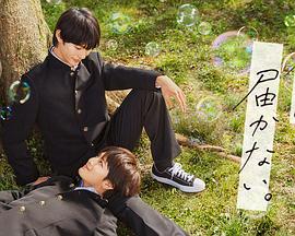 日本妄想海报剧照